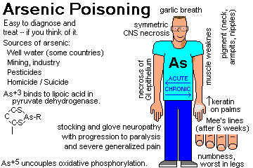 MedlinePlus: Arsenic